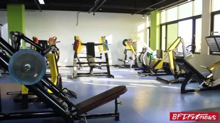 Sumptuous Exercise Equipment Crossfit Body Building Equipment (BFT