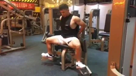 Commercial Gym Machine/Gym Equipment/Crossfit Equipment Sports Exercise