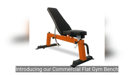 Versatile Adjustable Flat Gym Bench for Home Workouts