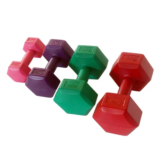 Gym Equipment Factory Wholesale Weight Lifting Cement Dumbbell
