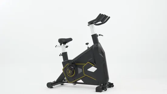 Professional Commercial Home Aerobic Exercise Air Magnetic Spin Bike Gym Equipment Fitness Indoor Spinning Cycling Bike