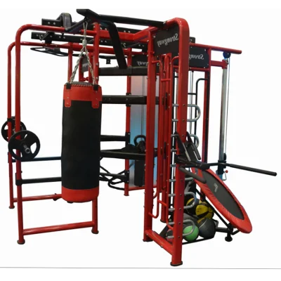 Multi Functional Crossfit Rig Crossfit Equipment Synrgy 360