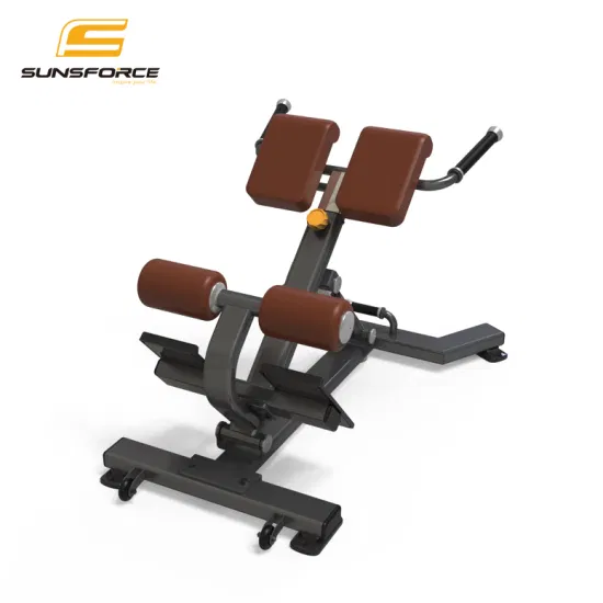 Free Weight Adjustable Back Extension Machine Strength Training