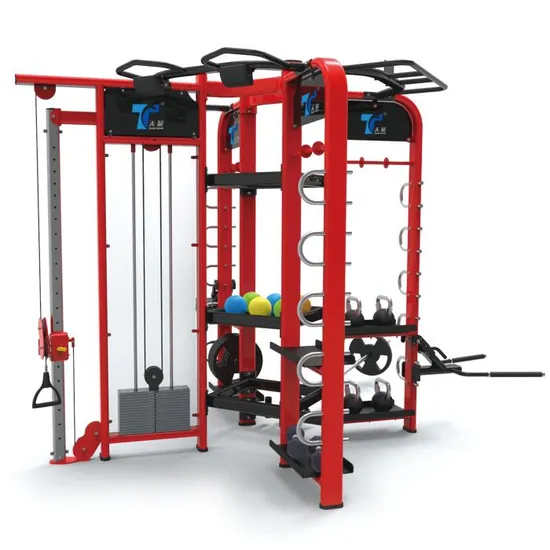 Multi Functional Crossfit Commercial Gym Equipment Synrgy 360xs