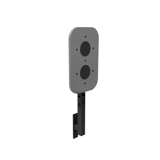 Developed Fitness Training Rig/Multifunctional Wall Ball Target 