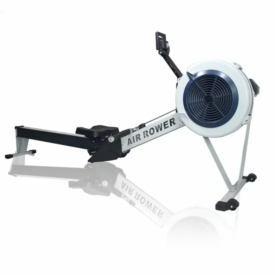 Commercial Fitness Ski Rowing Machine/ Air Indoor Rower for Gym Club 