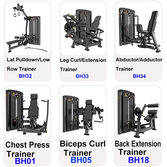 High Quality Factory Price Strength Training Rear Deltoid Machine Fitness Equipment Dual