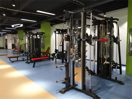 Full Set Gym Equipment Factory Wholesale High Quality Strength Training Machine Muscle Exercise Fitness Commercial Use 