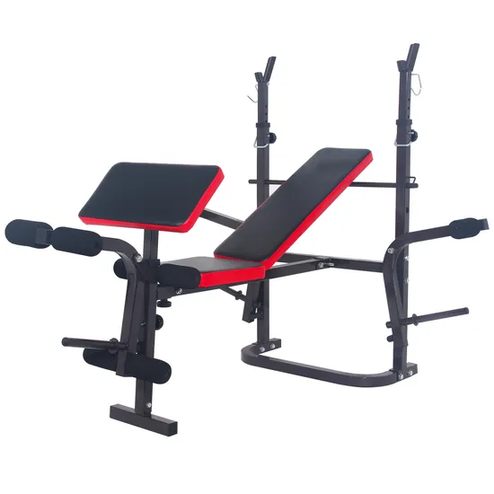 Home Gym Equipment Power Rack Weight Lifting Bench with Squat Rack 