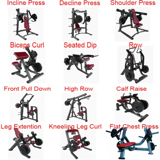 Commercial Gym Equipment Training Equipment Sports Goods Seated Row Machine for Fitness Exercise Enhance Back Group Muscle Strength