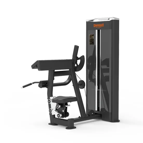 Commercial Gym Arm Exercise Equipment Strength Training Seated Pin Load Selection Biceps Curl Machine 