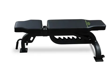 Sturdy Adjustable Fitness Bench for Home Gym Workouts 
