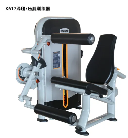 Home Multi Functional Kick/Press Leg Training Indoor Sporting Goods Strength Bodybuilding Equipment Sports Product Exercise Commercial Fitness Gym Machine 